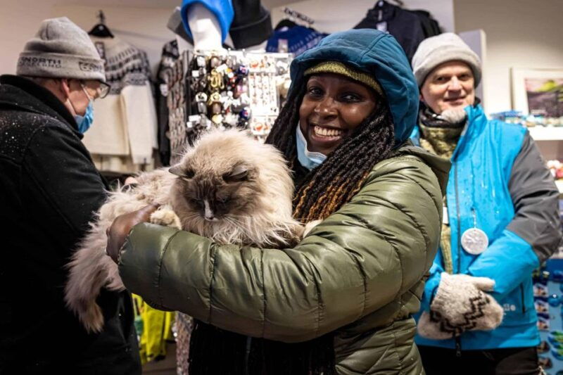 reykjavik-feline-focused-city-walking-tour