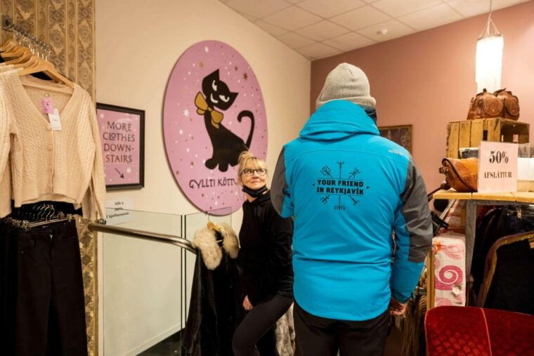 reykjavik-feline-focused-city-walking-tour