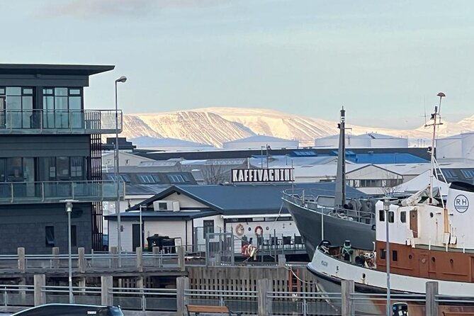 reykjavik-food-tour-old-harbor-walking-tour