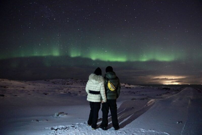 reykjavik-golden-circle-blue-lagoon-and-aurora-tour