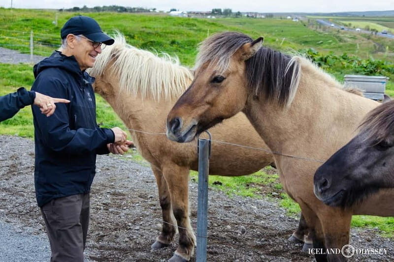 Reykjavik: Golden Circle & Northern Lights Tour - FAQ