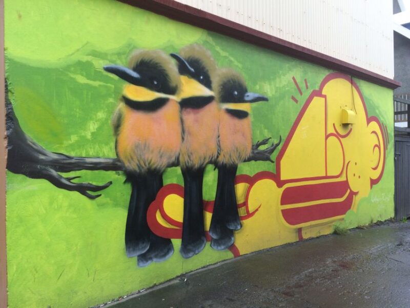 reykjavik-guided-city-walking-tour