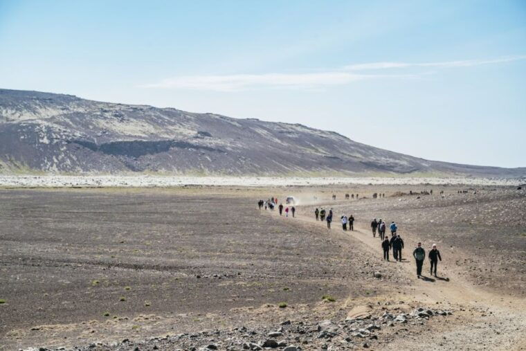 reykjavik-guided-tour-to-volcano-and-reykjanes-geopark