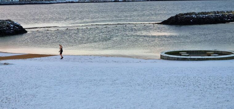 reykjavik-hidden-gems-private-half-day-tour-with-local