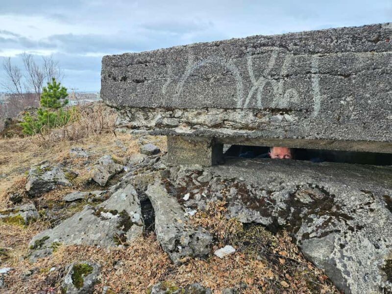 Reykjavik: Iceland's role in WWII - Private Day Trip - The Sum Up