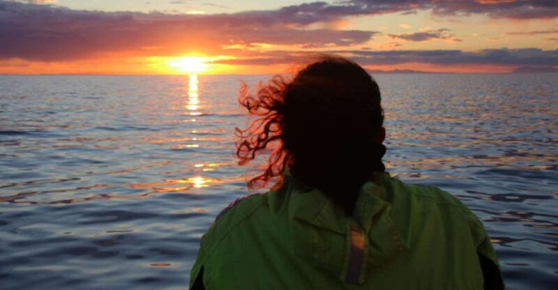 reykjavik-midnight-sun-whale-watching-cruise