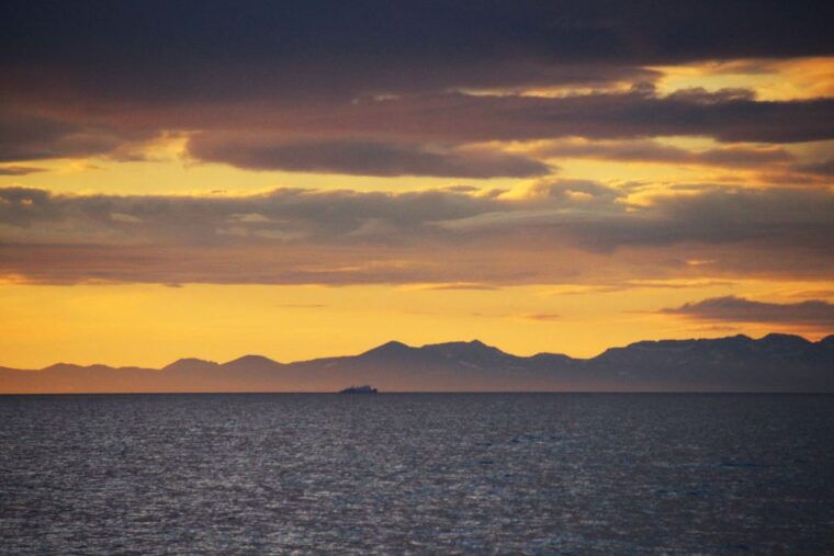 reykjavik-midnight-sun-whale-watching-cruise