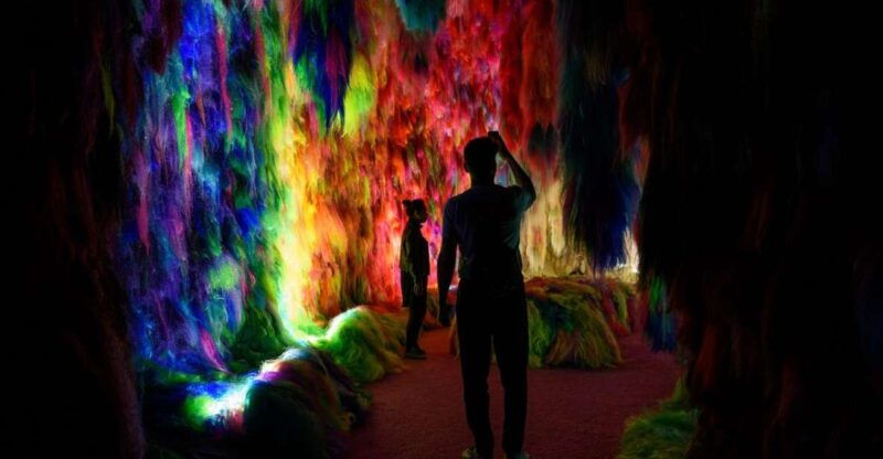 reykjavik-multi-sensory-art-installation-chromo-sapiens