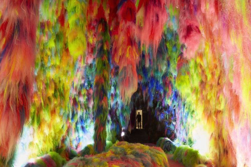 reykjavik-multi-sensory-art-installation-chromo-sapiens