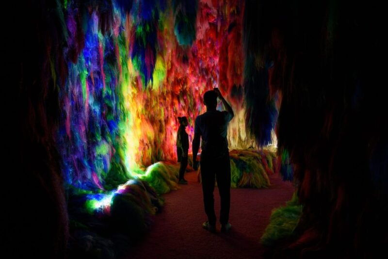 reykjavik-multi-sensory-art-installation-chromo-sapiens