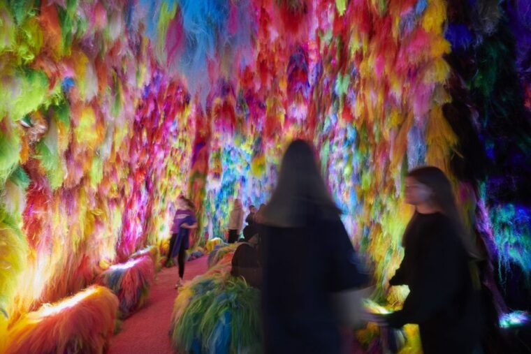 reykjavik-multi-sensory-art-installation-chromo-sapiens