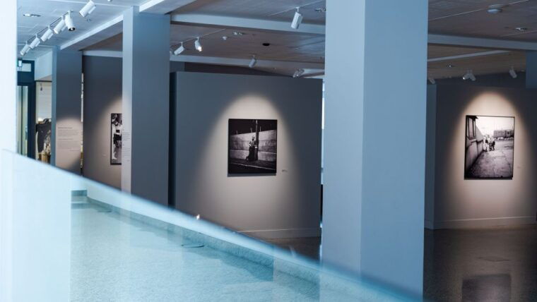 reykjavik-national-museum-of-iceland-entry-ticket