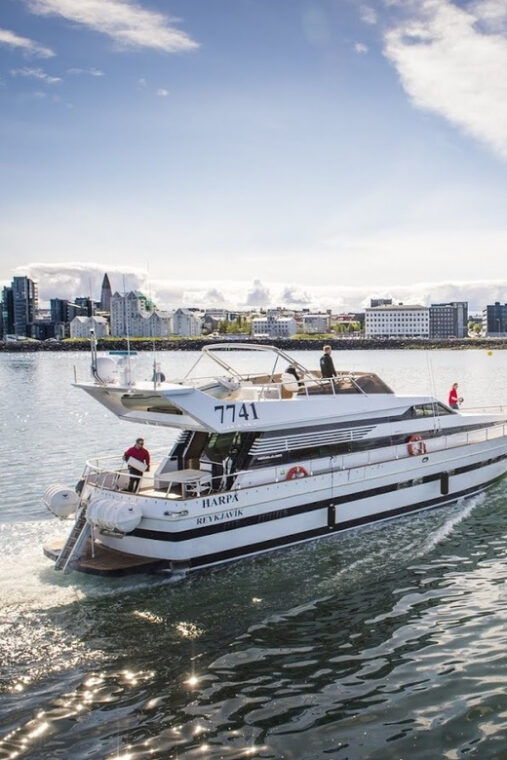 reykjavik-new-years-eve-northern-lights-yacht-cruise