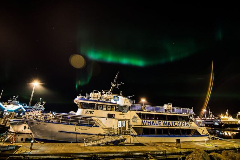 reykjavik-northern-lights-guided-boat-tour