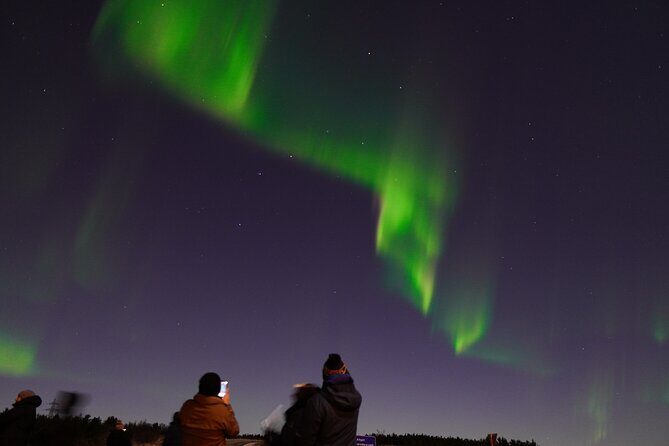 Reykjavik: Northern Lights Tour - Pro Aurora Photos - Small Group - Final Thoughts