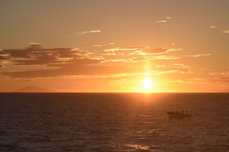 reykjavik-premium-whale-and-puffin-watching-evening-tour