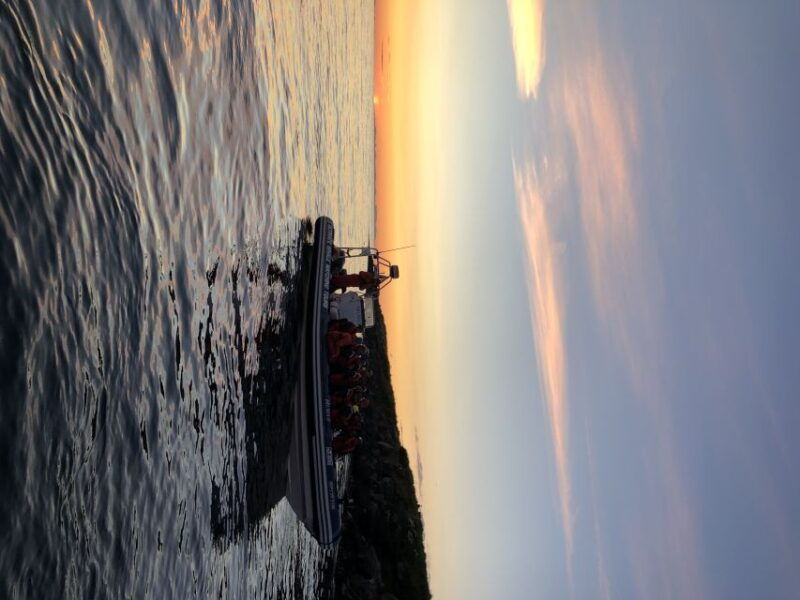 reykjavik-premium-whale-and-puffin-watching-evening-tour