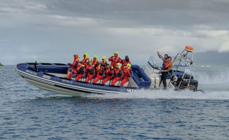 reykjavik-premium-whale-watching-with-flexible-ticket
