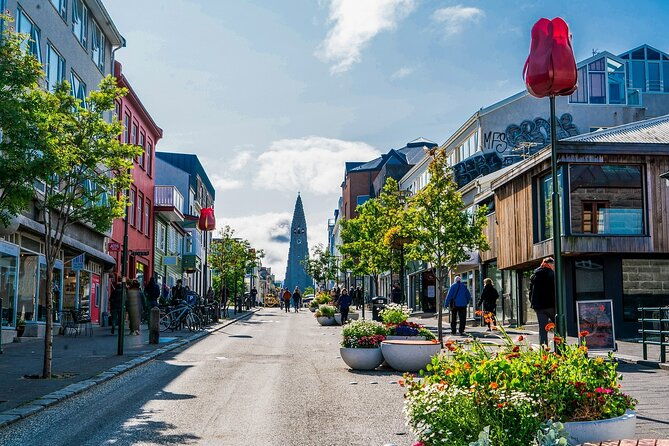 reykjavik-private-walking-tour-with-a-professional-guide