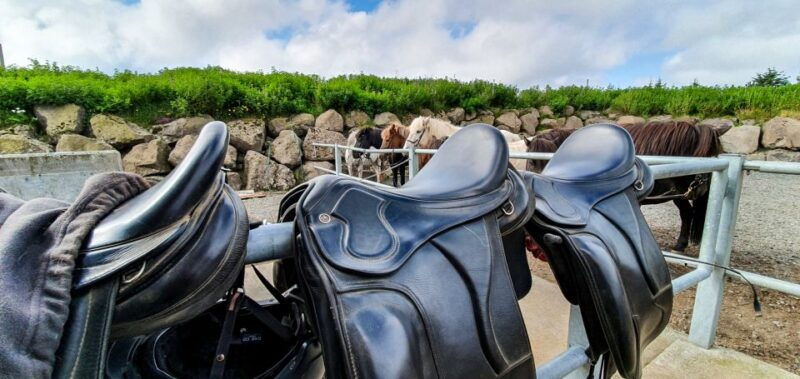 reykjavik-red-lava-horse-riding-tour