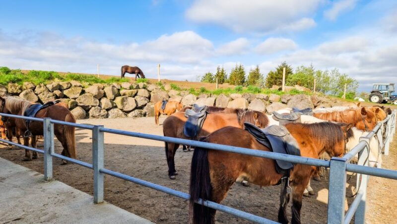 reykjavik-red-lava-horse-riding-tour