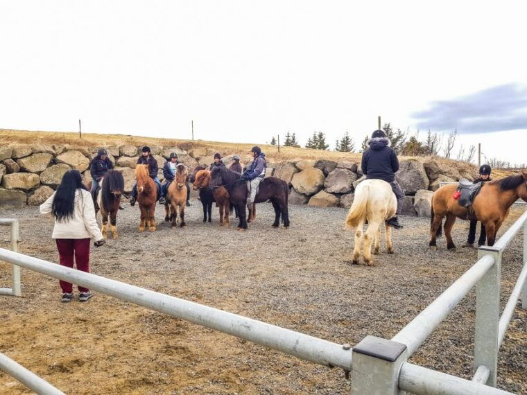 reykjavik-red-lava-horse-riding-tour
