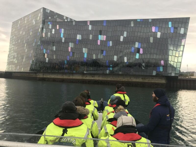 reykjavik-rib-speed-boat-puffin-watching-tour