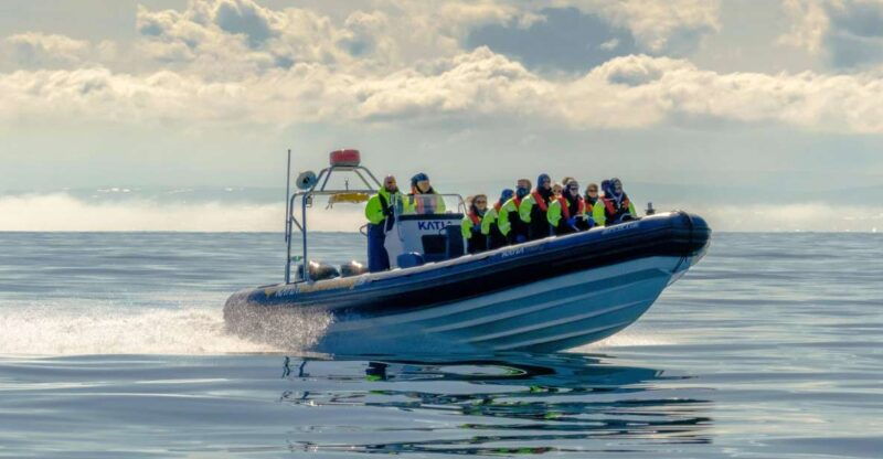 reykjavik-rib-speed-boat-puffin-watching-tour