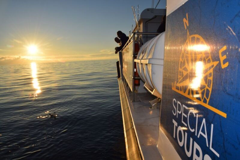 reykjavik-sea-fishing-boat-tour-bbq-with-the-days-catch