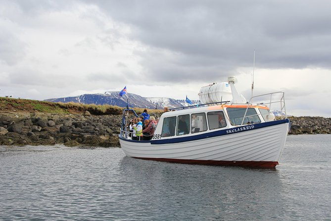 reykjavik-shore-excursion-puffin-sightseeing-cruise-4