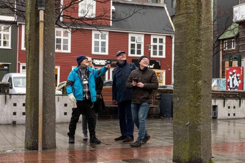 Reykjavik: Sightseeing Walking Tour with a Viking - Who Should Consider This Tour?