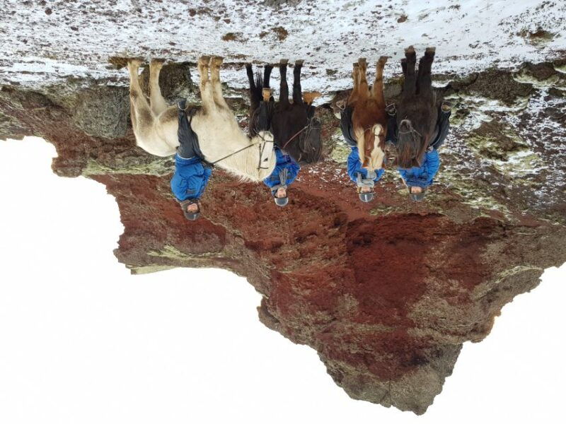 reykjavik-silfra-snorkel-tour-and-horse-ride-with-photos