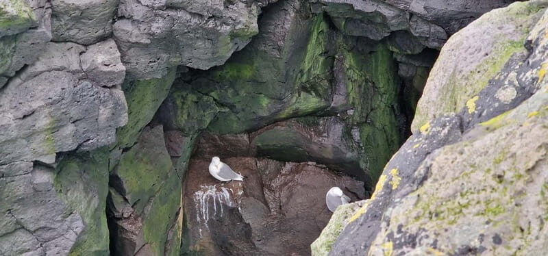 Reykjavik: Snaefellsnes Peninsula private tour with local - Who Should Book This Tour?
