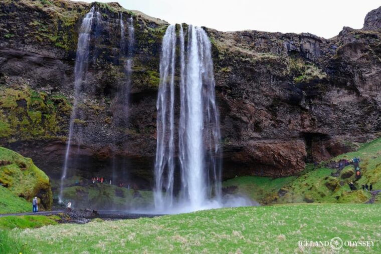 reykjavik-south-coast-waterfalls-black-beach-private-tour