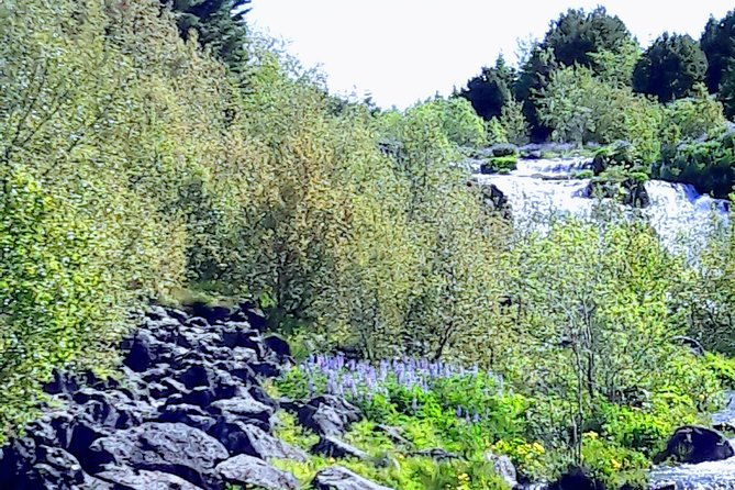 reykjavik-the-northernmost-capital-in-the-world