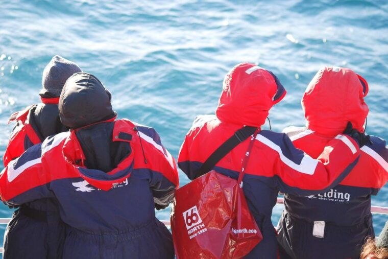 reykjavik-the-original-3-hour-whale-watching-tour