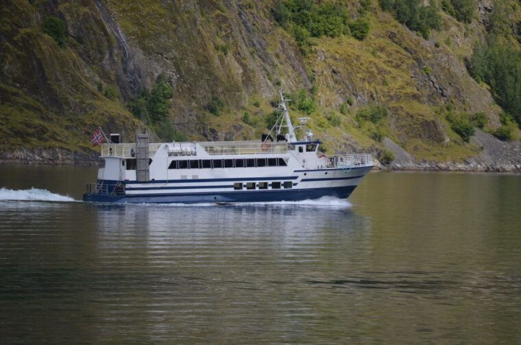 reykjavik-whale-marine-adventure-tour