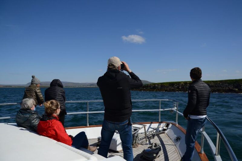 reykjavik-whale-watching-and-dolphin-watching-yacht-cruise