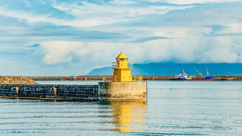 reykjavik-whale-watching-and-marine-life-cruise