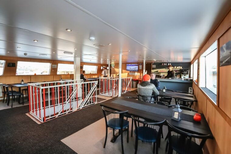 reykjavik-whale-watching-and-marine-life-cruise