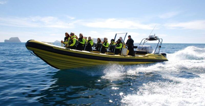 reykjavik-whale-watching-by-rib-speedboat