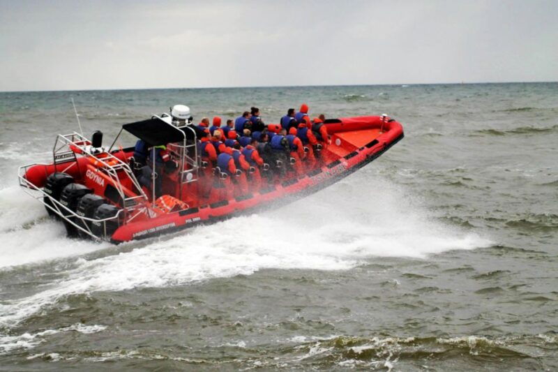 reykjavik-whale-watching-by-rib-speedboat