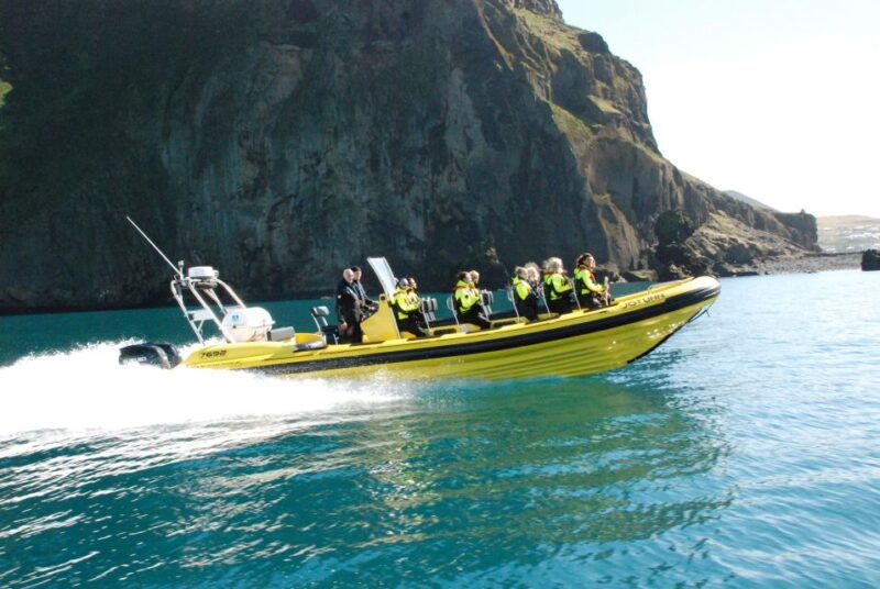 reykjavik-whale-watching-by-rib-speedboat