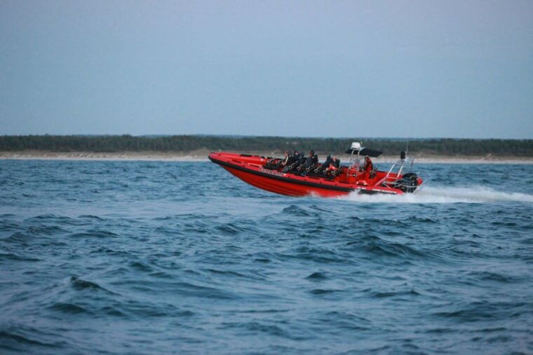 reykjavik-whale-watching-by-rib-speedboat