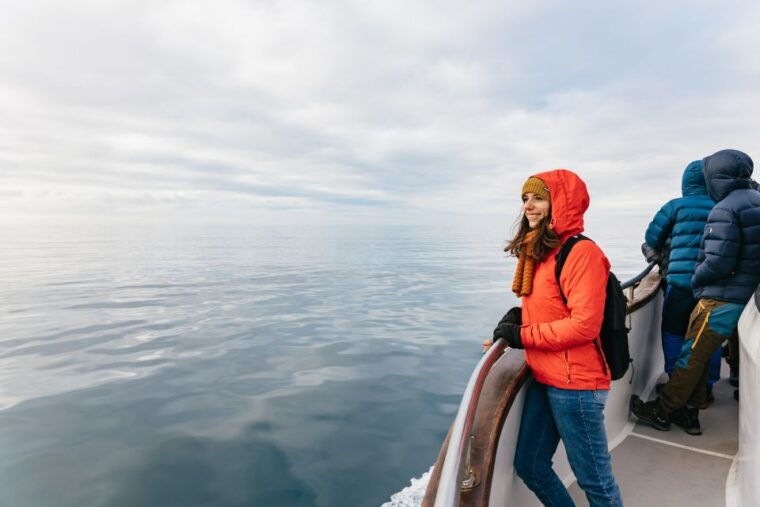 reykjavik-whale-watching-cruise-on-the-amelia-rose-yacht