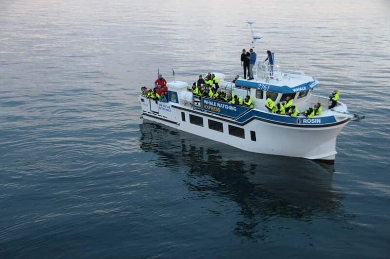 Reykjavik: Whale Watching Express - Frequently Asked Questions