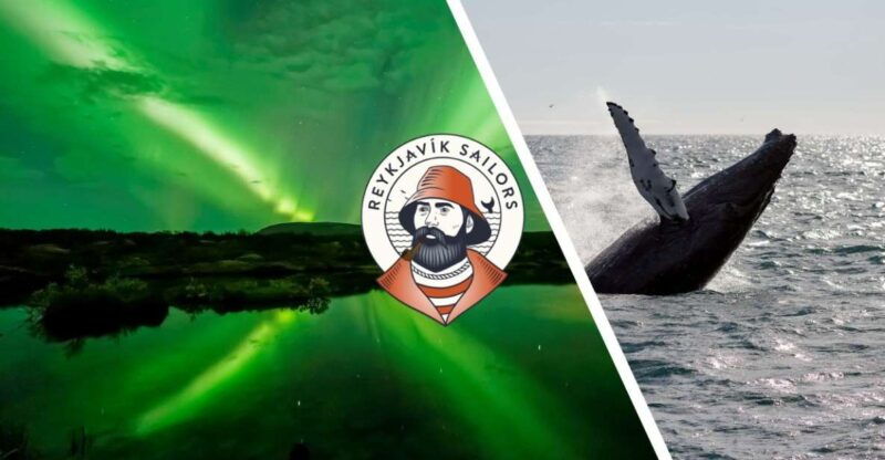 reykjavik-whale-watching-northern-lights-combo-cruise