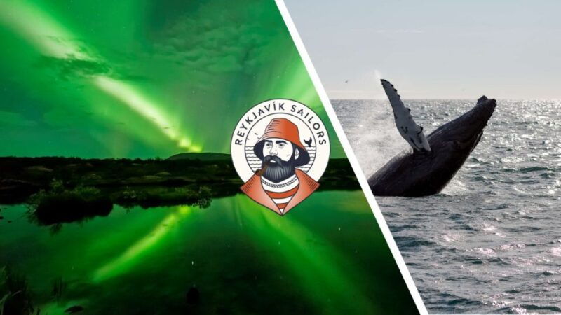 reykjavik-whale-watching-northern-lights-combo-cruise
