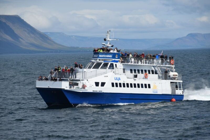 reykjavik-whale-watching-tour-by-fast-catamaran
