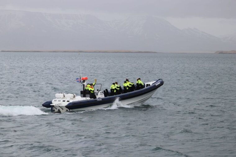 reykjavik-whale-watching-tour-by-rib-boat